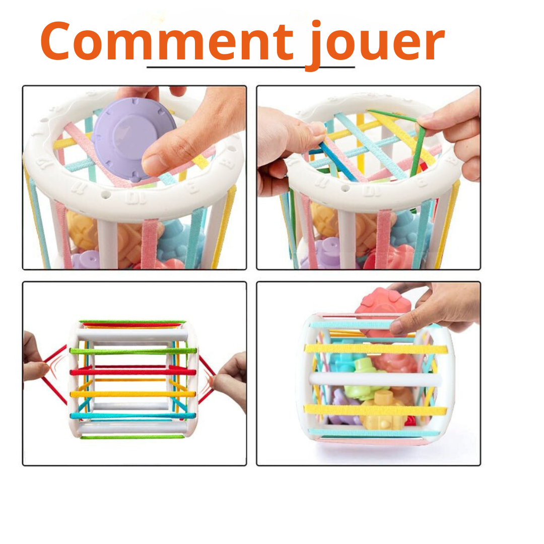 Jeux de Tri Montessori pour Bébés